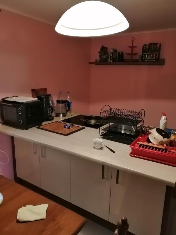 Noclegi Przy Kominku Miedzyles  Екстер'єр фото